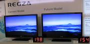IFA-2008 041